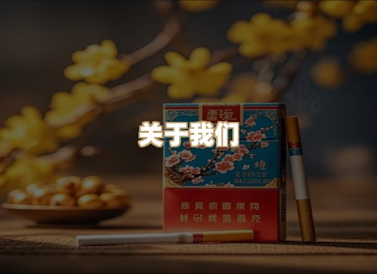 关于御龙烟网